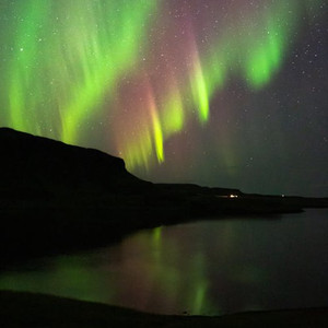 黑寡妇3满天星法版
