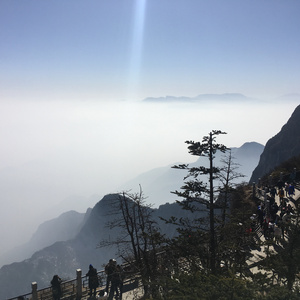 黑寡妇3满天星法版
